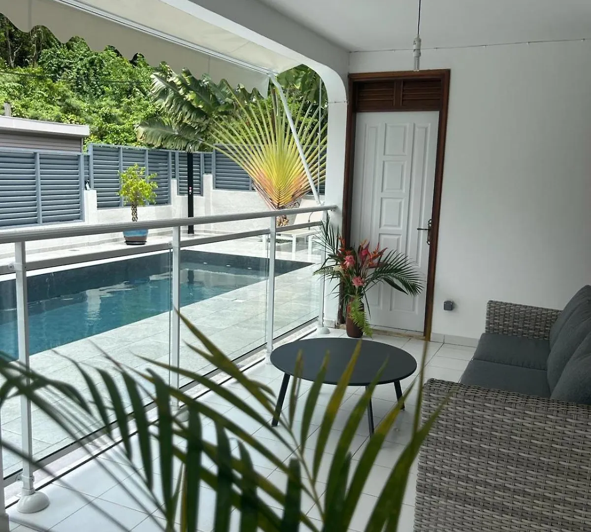 Appartement Arbre Voyageur Pointe-Noire Lejlighed